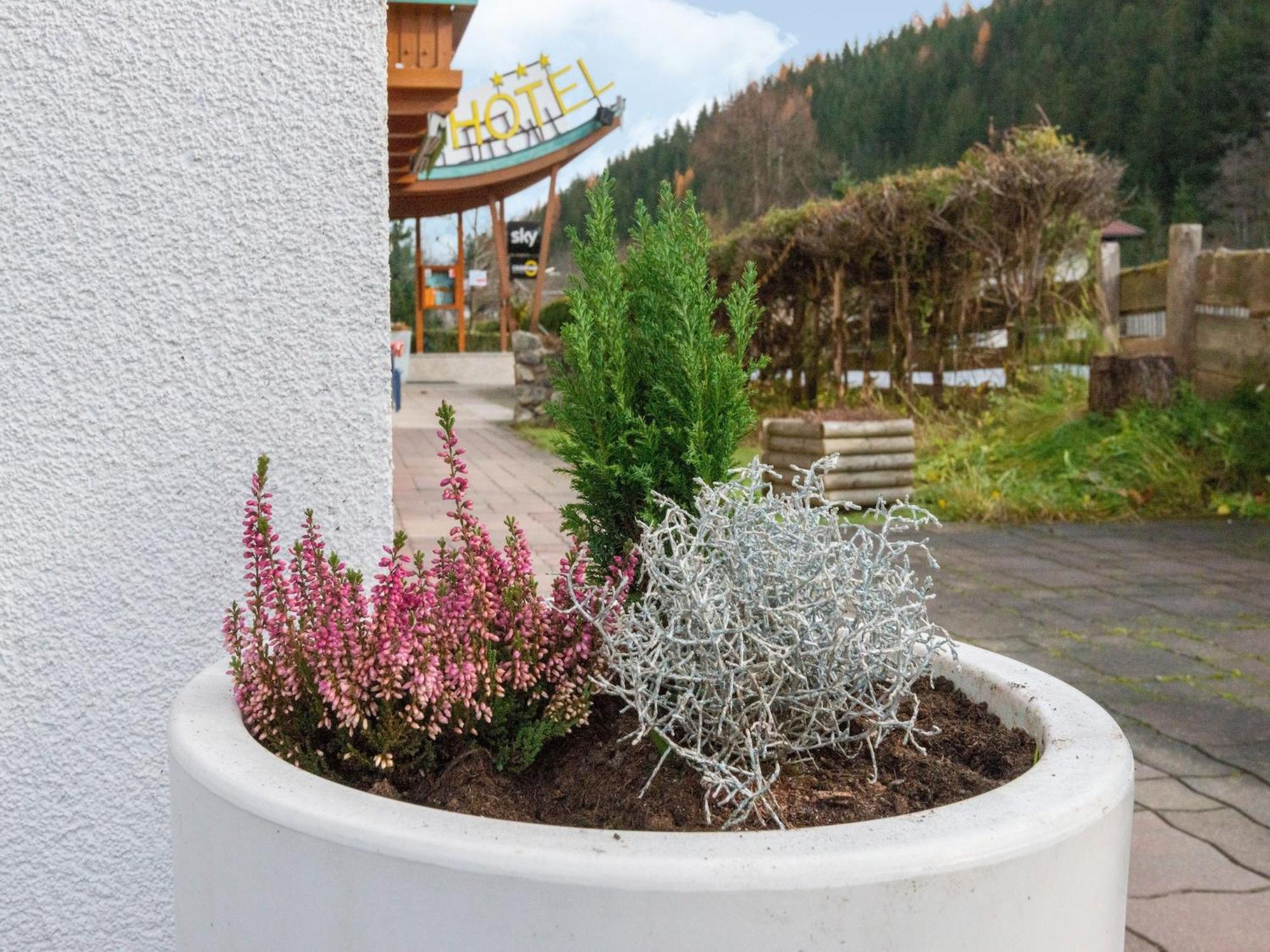 Lovely Apartment With Sauna Ski Storage Pool Terrace Wald im Pinzgau Zewnętrze zdjęcie